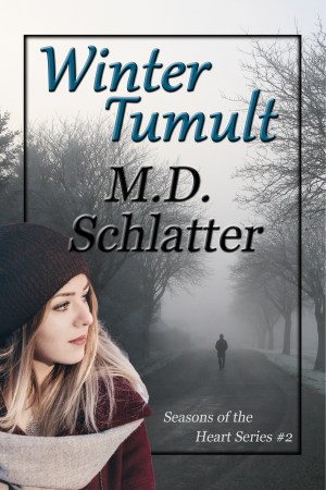 Winter Tumult Cover